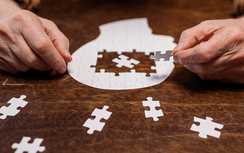 The puzzle of Dementia